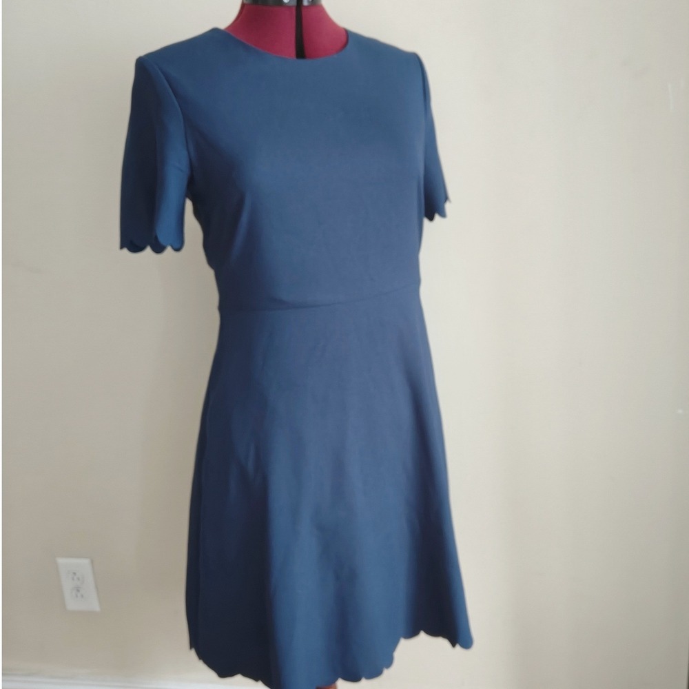 Banana Republic Fit Flare Dress Knee Length Blue Scalloped Short Sleeve Formal 6